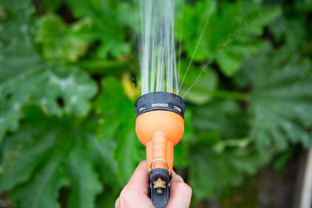 Watering Guide
