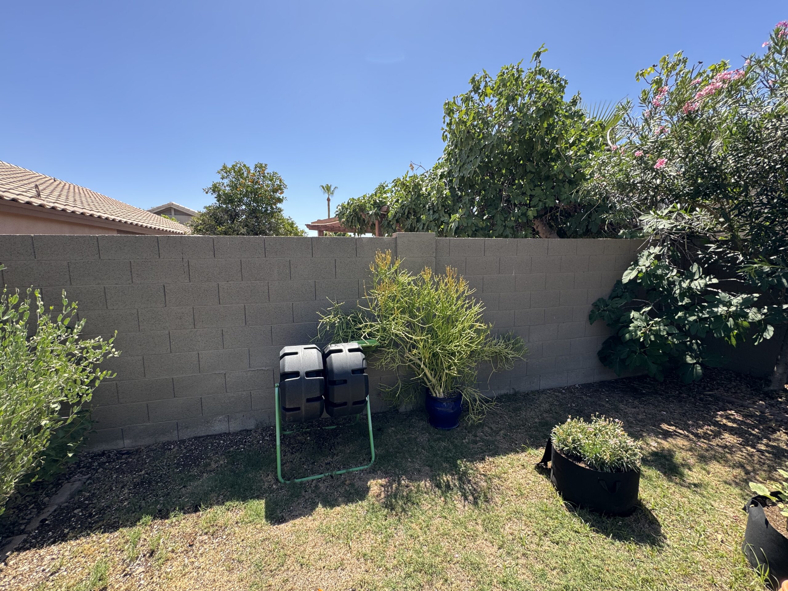 Backyard east fence at Tamara Perry's property