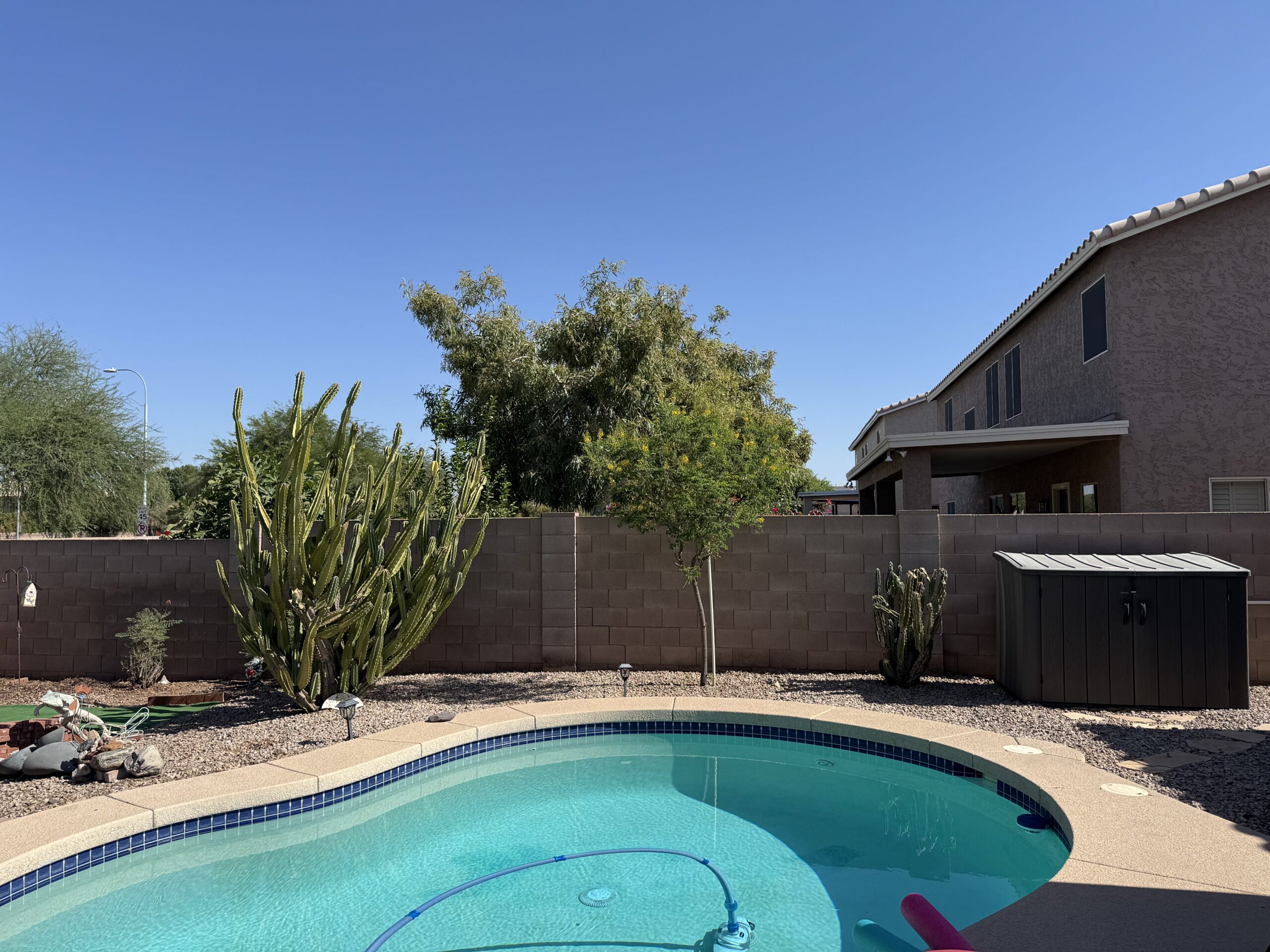Pool area, before