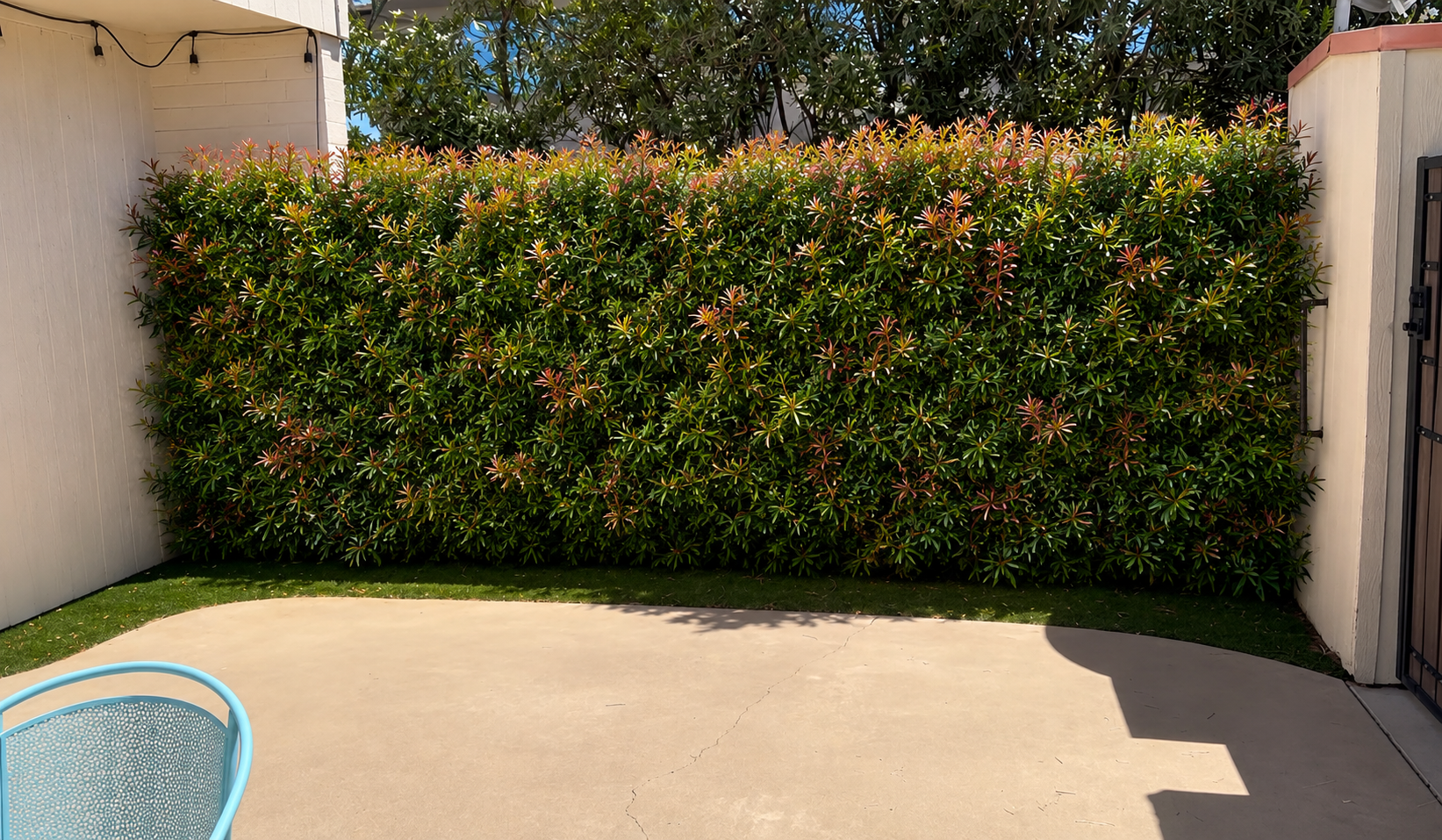 Mockup of hopseed along the west wall