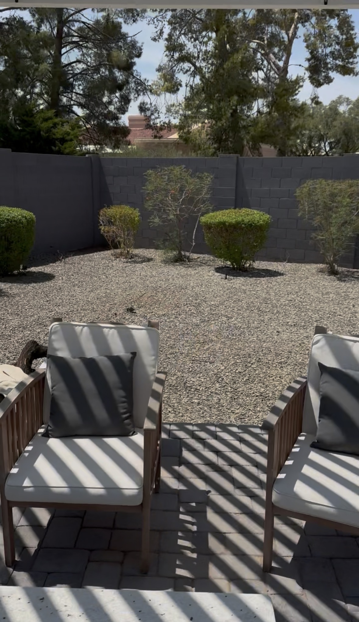 Corner behind the seating area and pergola where a shade tree used to stand