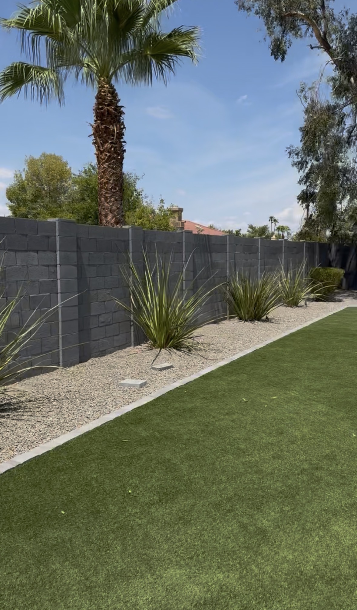 North, east, and south block wall with established agave spaced along it
