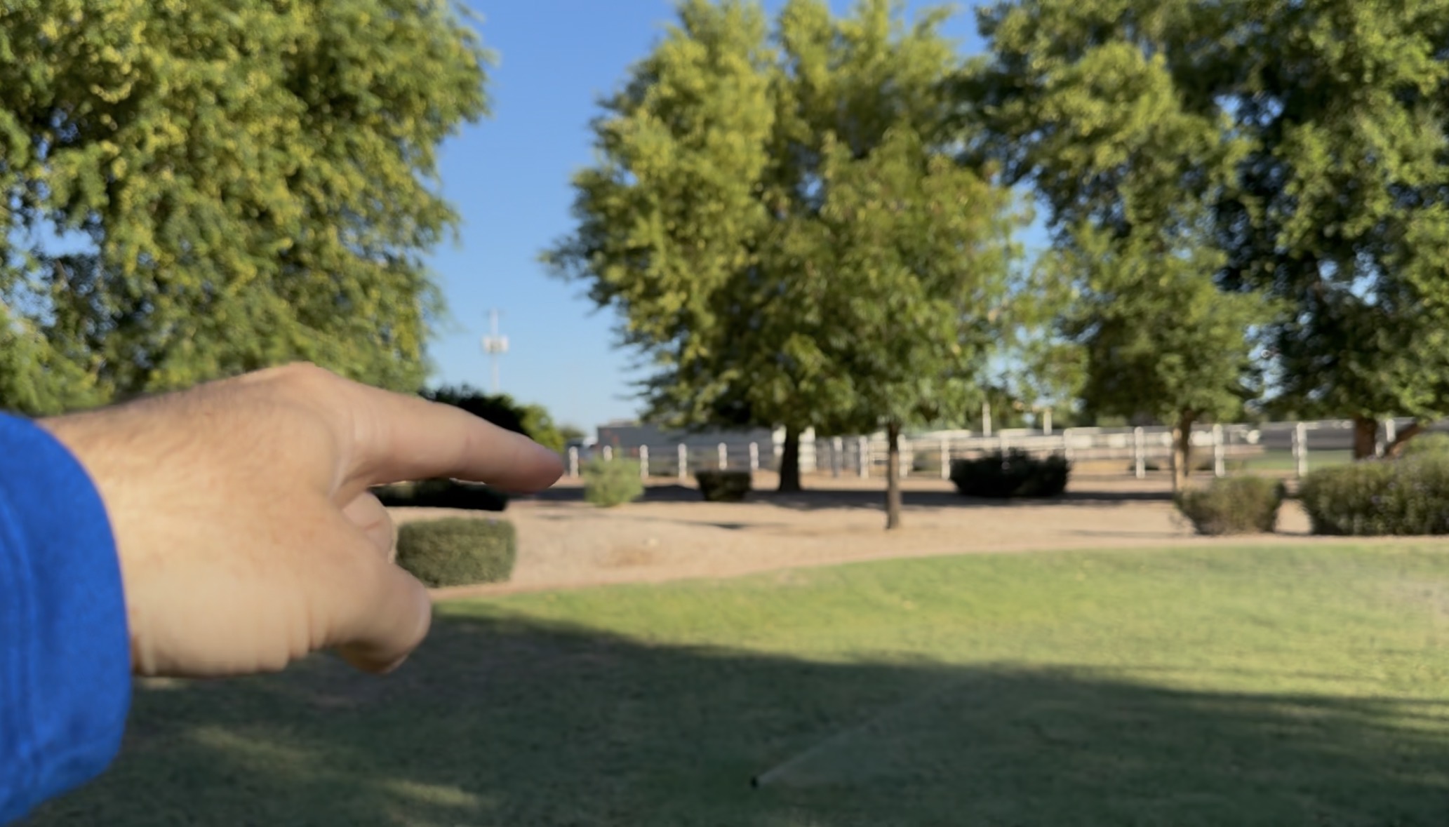 Northwest corner of grass area, gap with no tree
