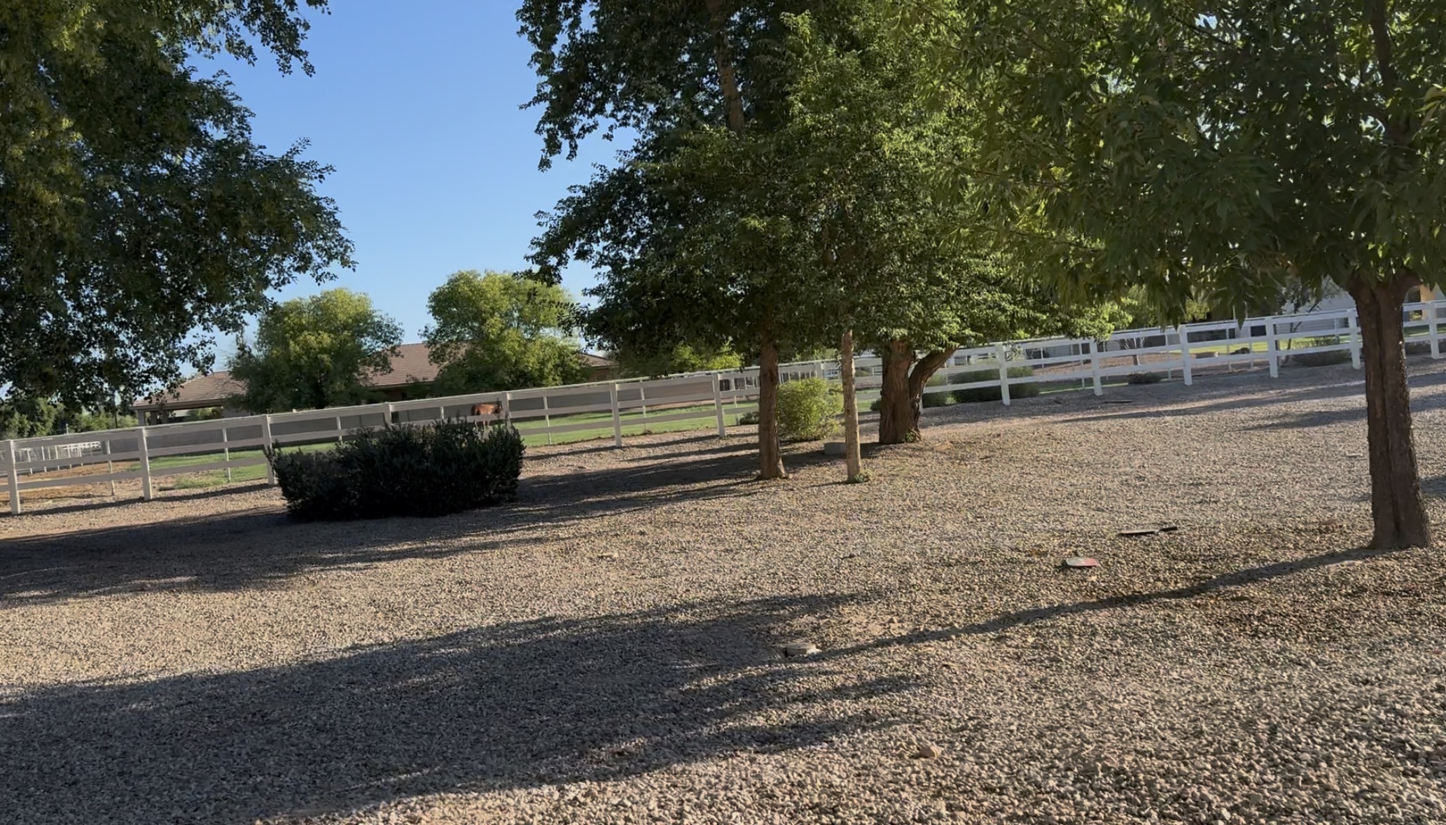 Backyard open areas