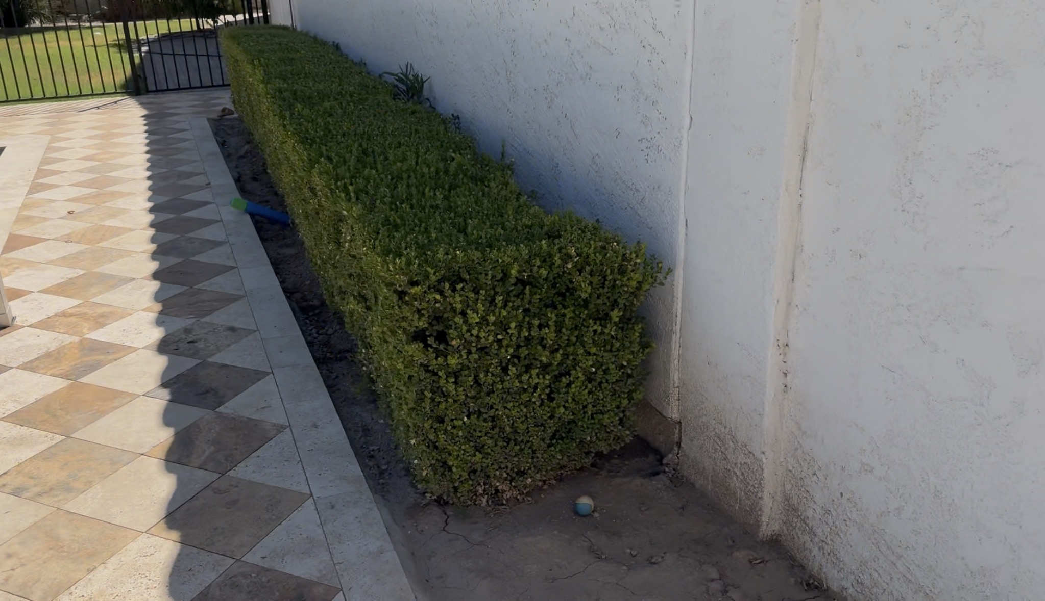 Pool area, north-facing wall