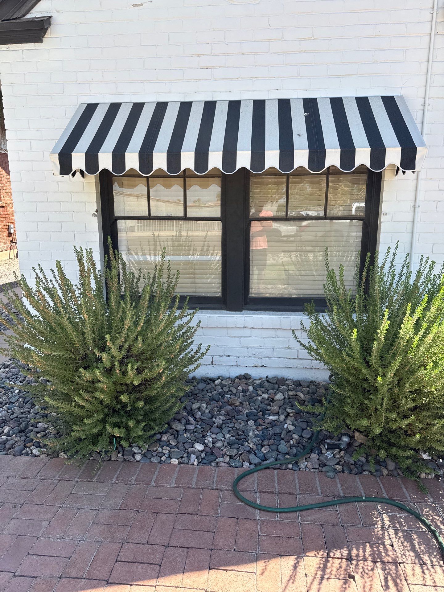 Front Beds Under the Windows