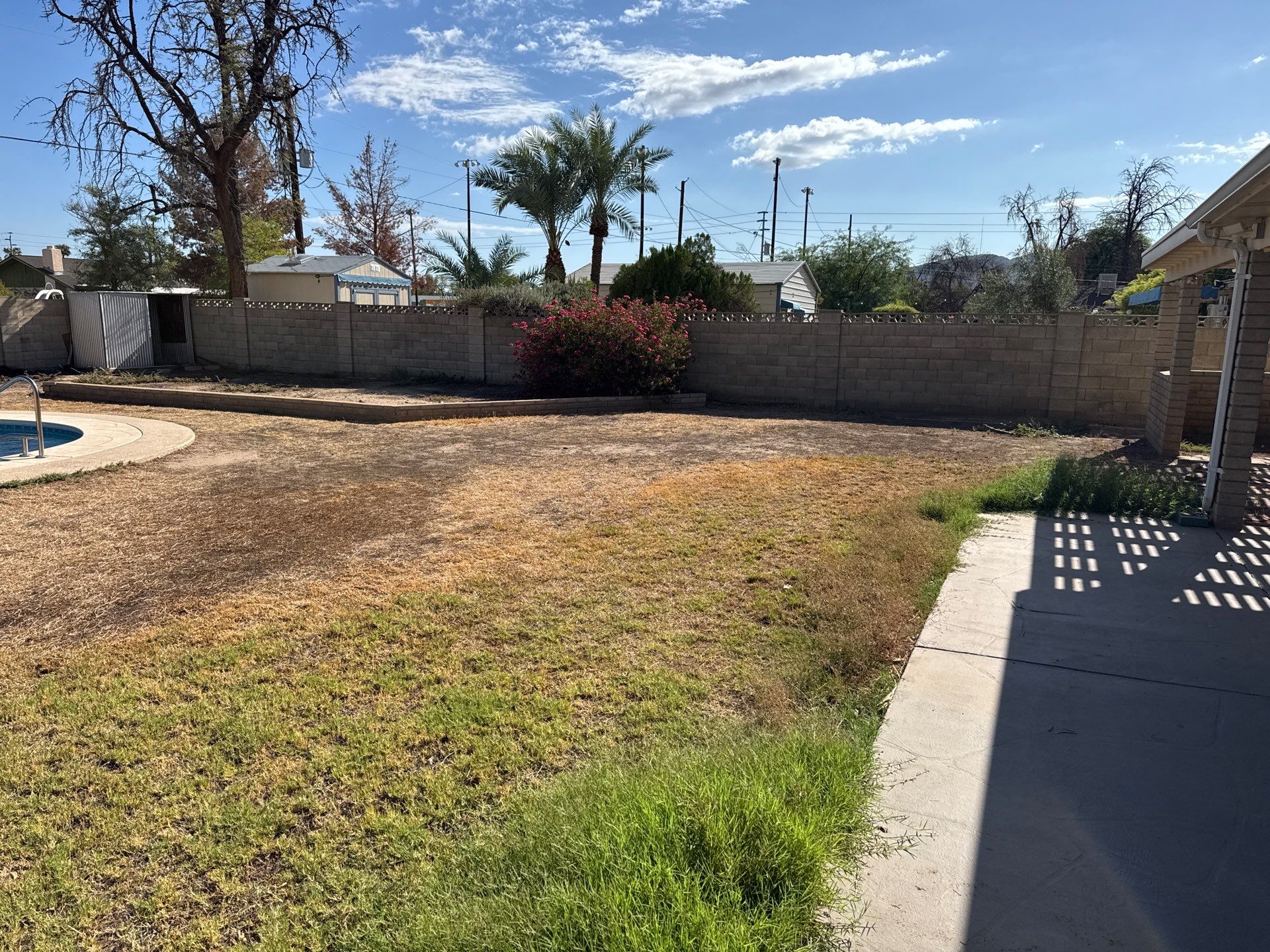 Either Side of the Yard