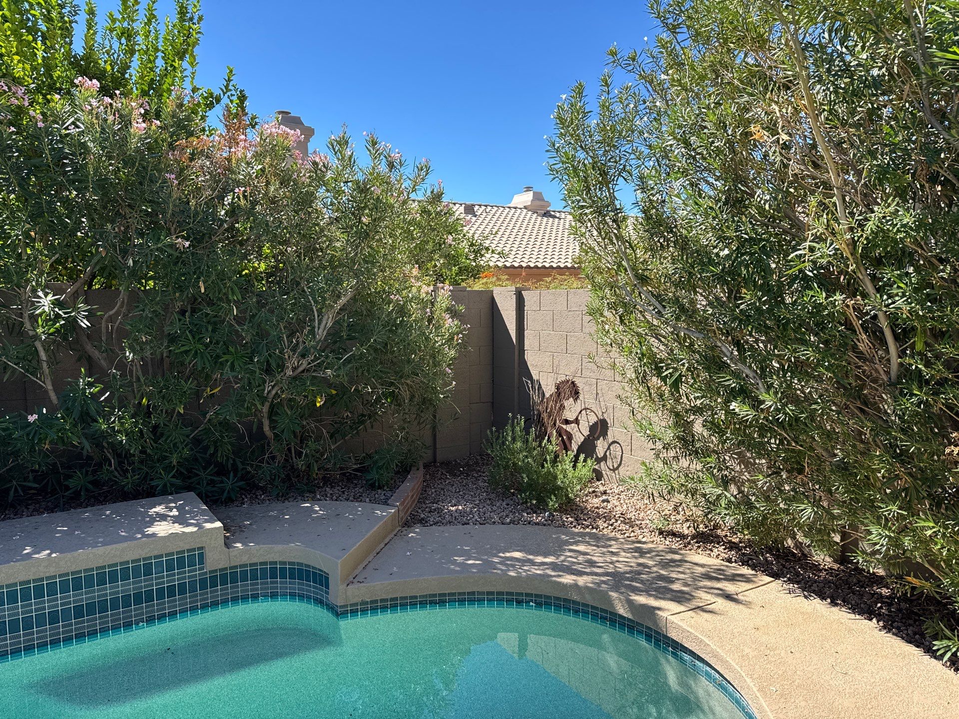 Pool area spot for the kumquat