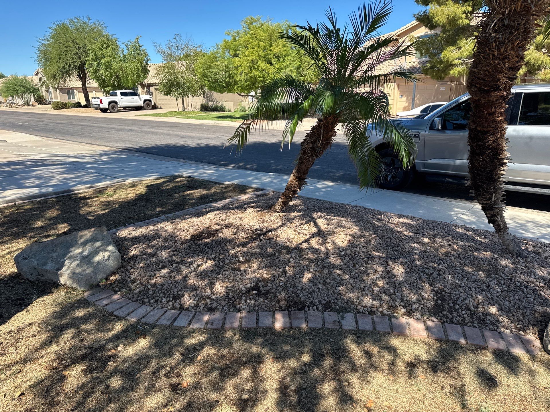 Front bed with palm along the sidewalk